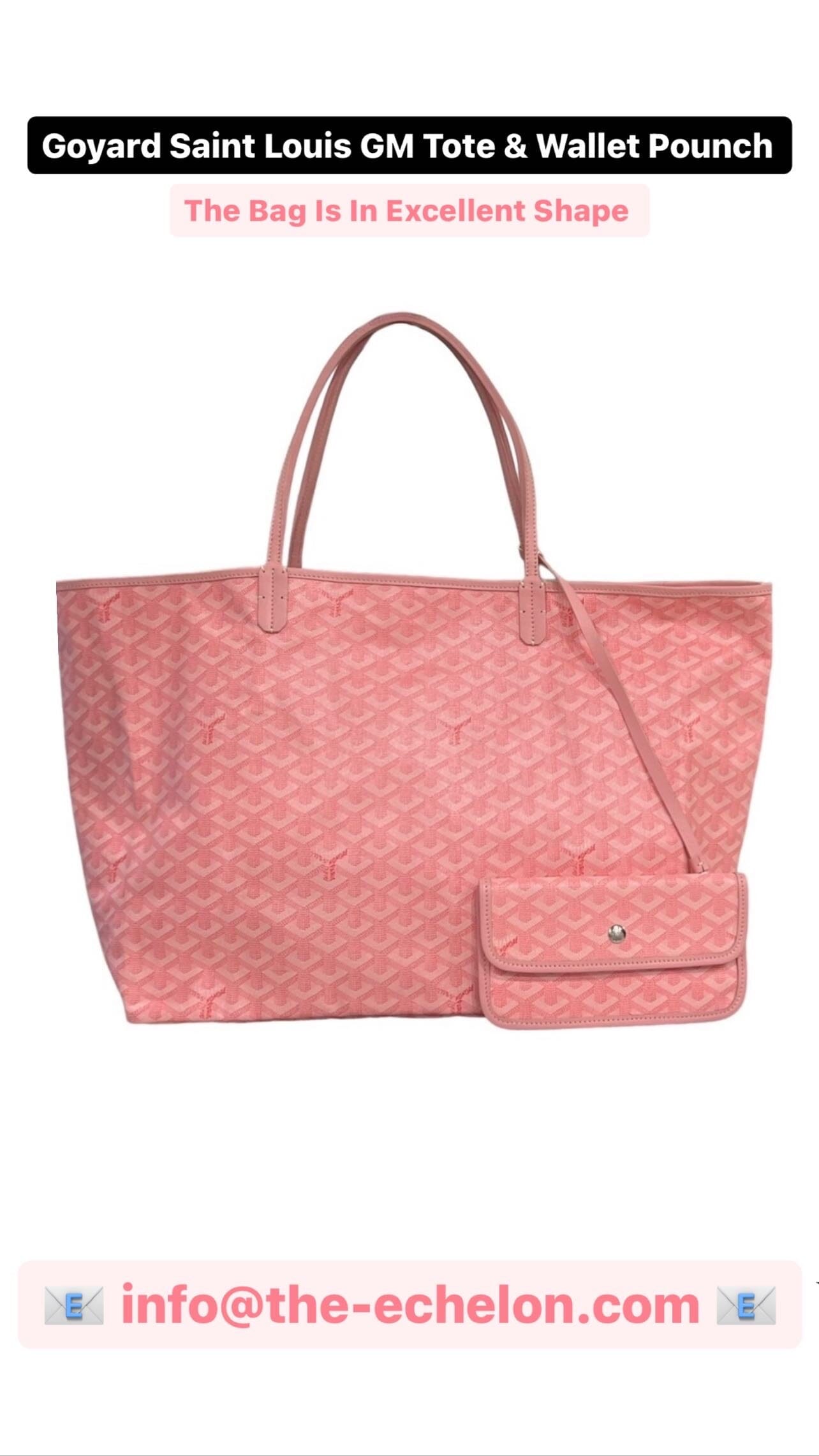 Goyard Saint Louis GM Tote Bag – THE-ECHELON